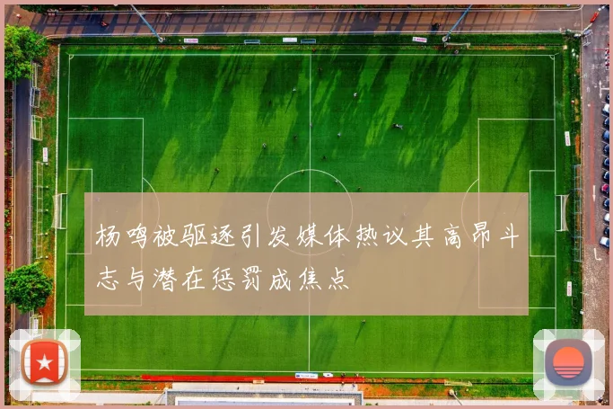 杨鸣被驱逐引发媒体热议其高昂斗志与潜在惩罚成焦点